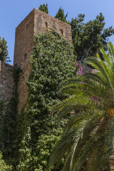 22/08/2014-Malaga(Andalousie)-L'alcazaba