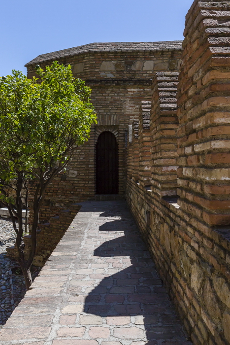 22/08/2014-Malaga(Andalousie)-L'alcazaba