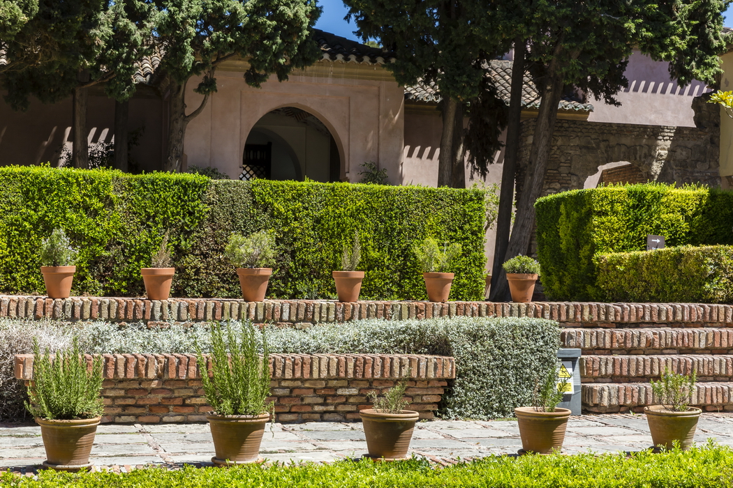 22/08/2014-Malaga(Andalousie)-L'alcazaba