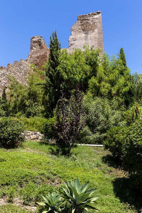 22/08/2014-Malaga(Andalousie)-L'alcazaba