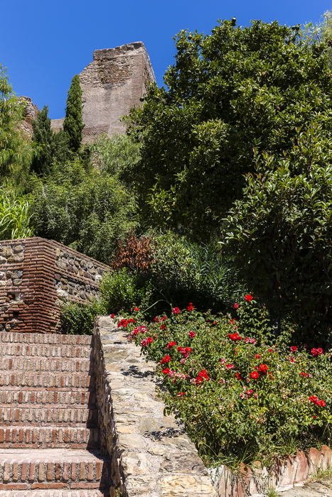 22/08/2014-Malaga(Andalousie)-L'alcazaba
