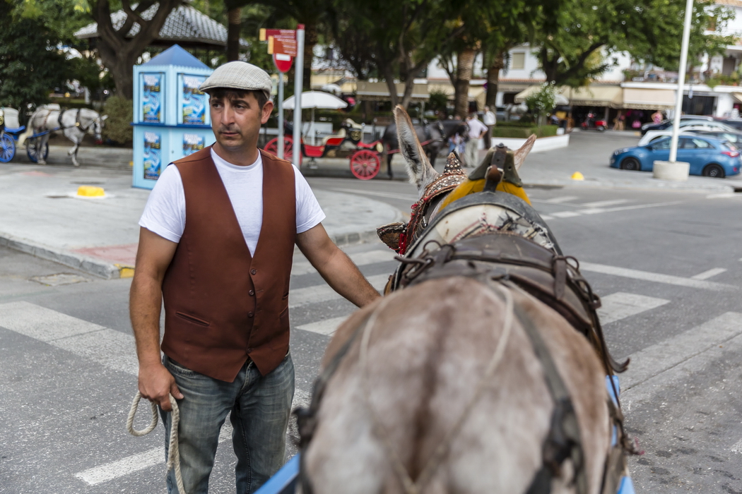 24/08/2014-Mijas(Andalousie)-Burro Taxis