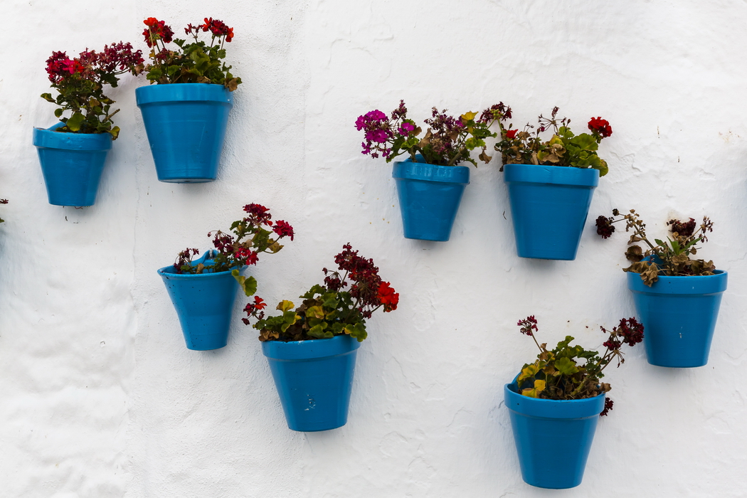 24/08/2014-Mijas(Andalousie)-Art local