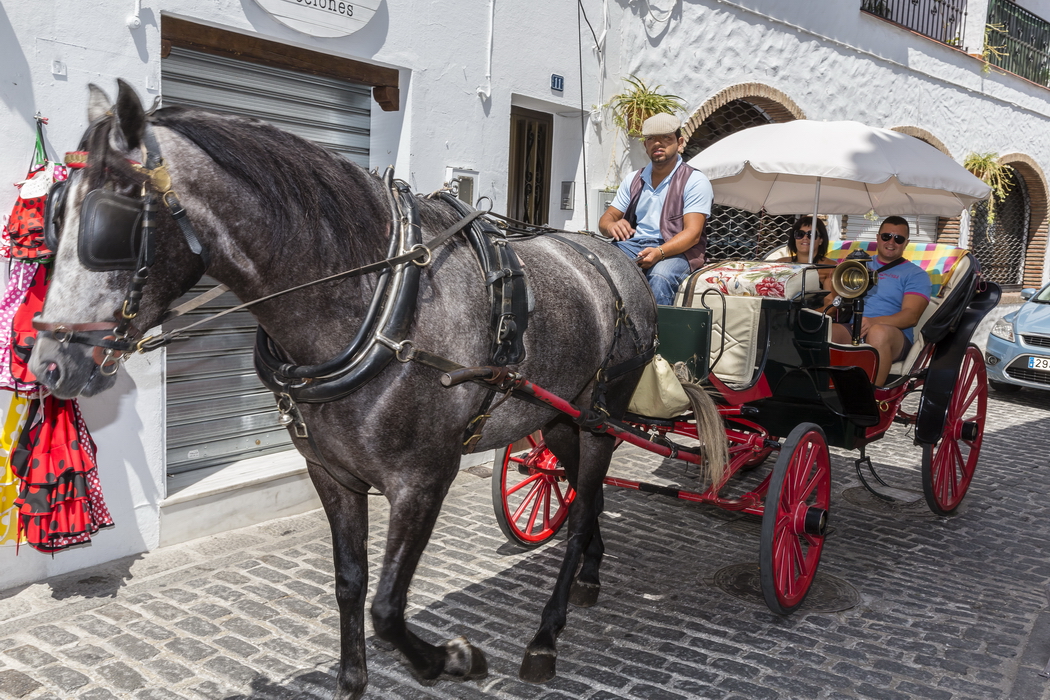 24/08/2014-Mijas(Andalousie)-La ville-->Calèches
