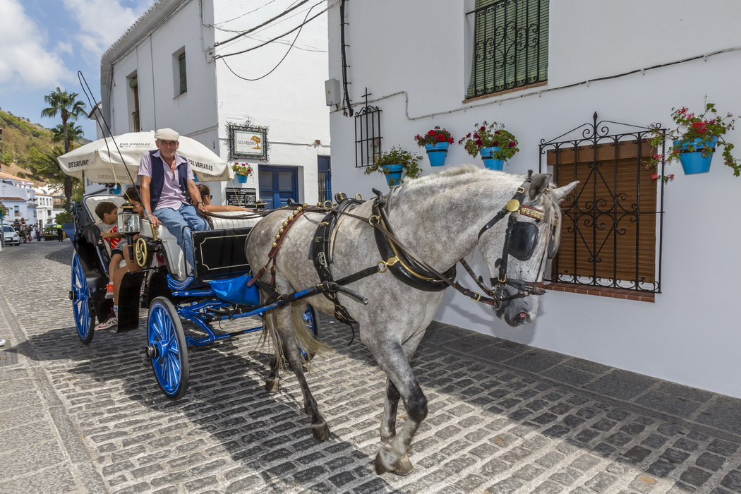 24/08/2014-Mijas(Andalousie)-La ville-->Calèches