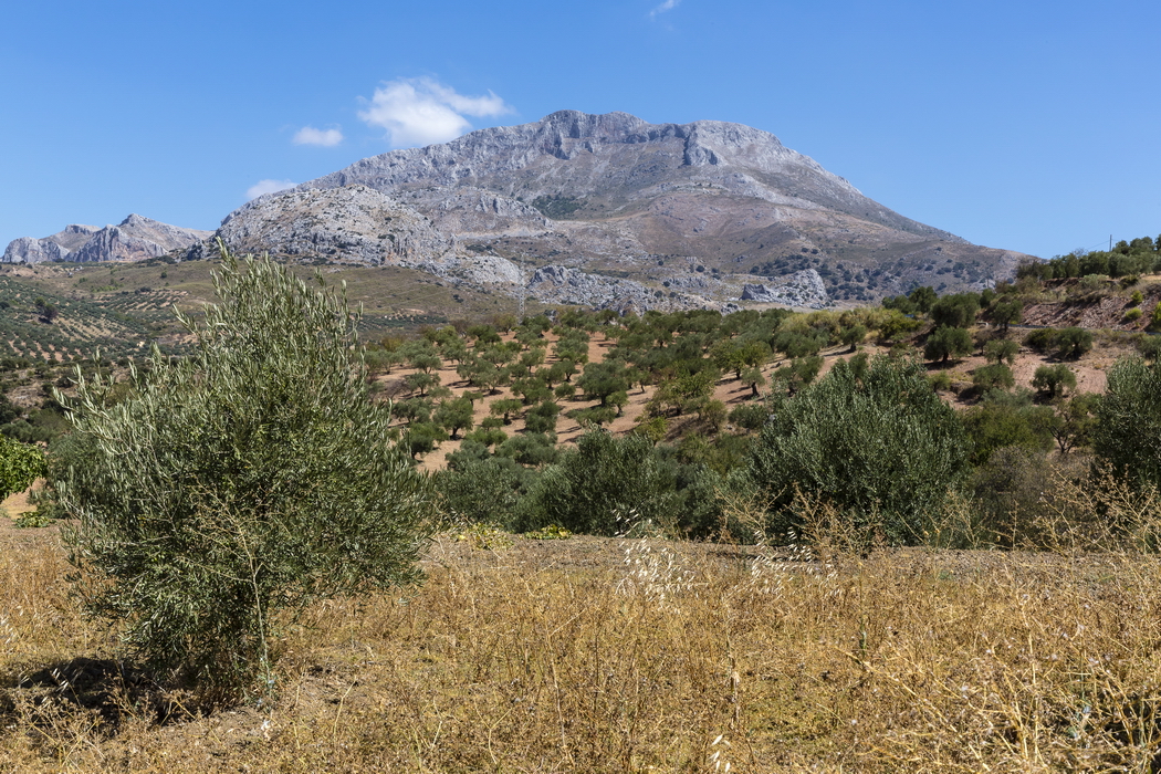 24/08/2014-Ronda(Andalousie)-Sur la route