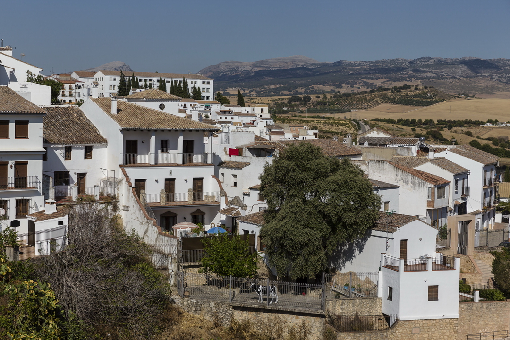24/08/2014-Ronda(Andalousie)