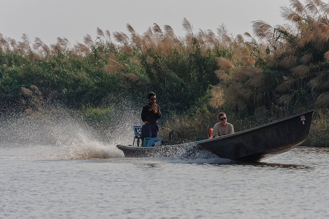 12/02/2016-Inlay(Myanmar)-Lac Inlé
