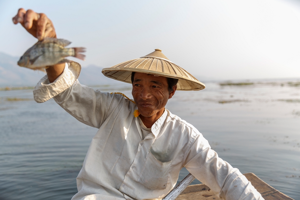 12/02/2016-Inlay(Myanmar)-Lac Inlé