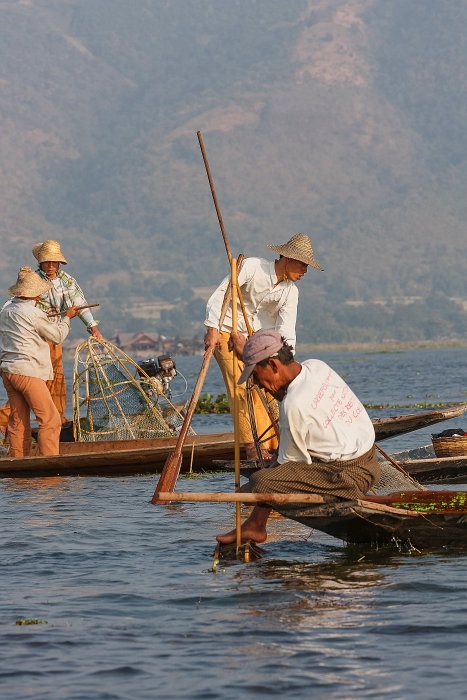 12/02/2016-Inlay(Myanmar)-Lac Inlé