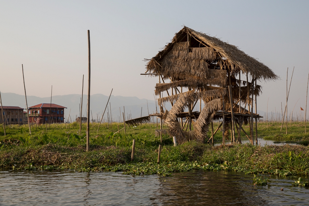 12/02/2016-Inlay(Myanmar)-Lac Inlé