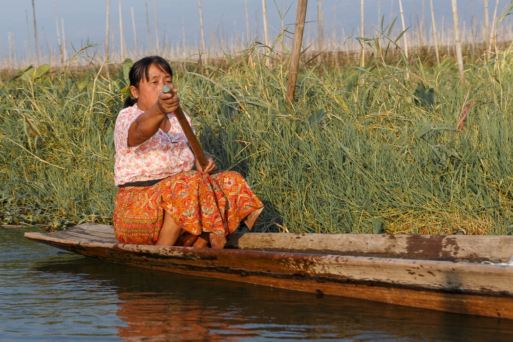 12/02/2016-Inlay(Myanmar)-Lac Inlé