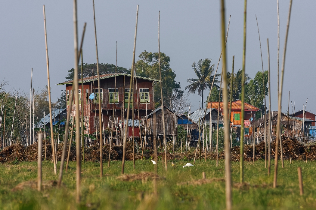 12/02/2016-Inlay(Myanmar)-Lac Inlé