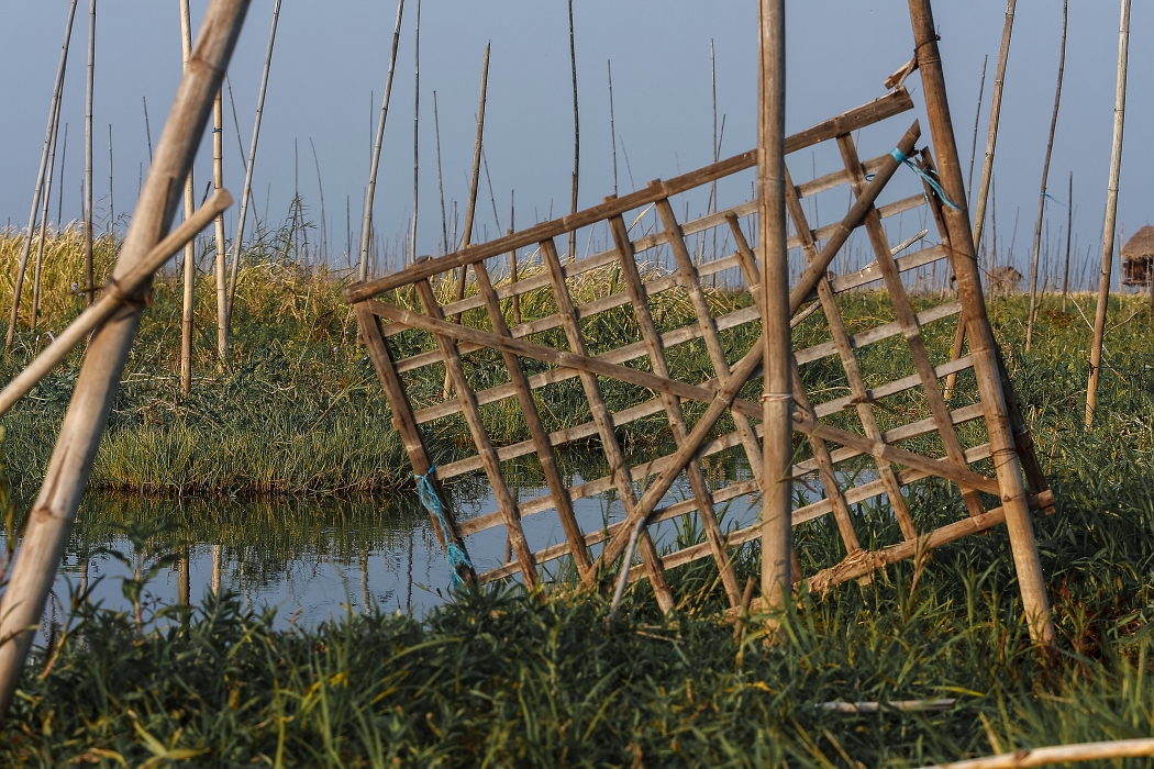 12/02/2016-Inlay(Myanmar)-Lac Inlé