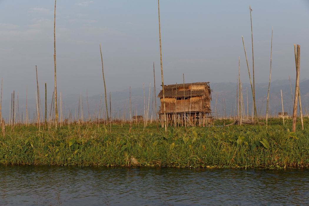 12/02/2016-Inlay(Myanmar)-Lac Inlé