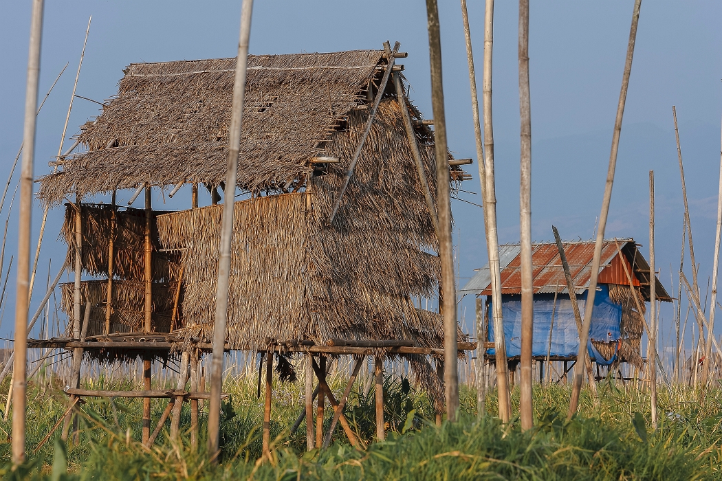 12/02/2016-Inlay(Myanmar)-Lac Inlé