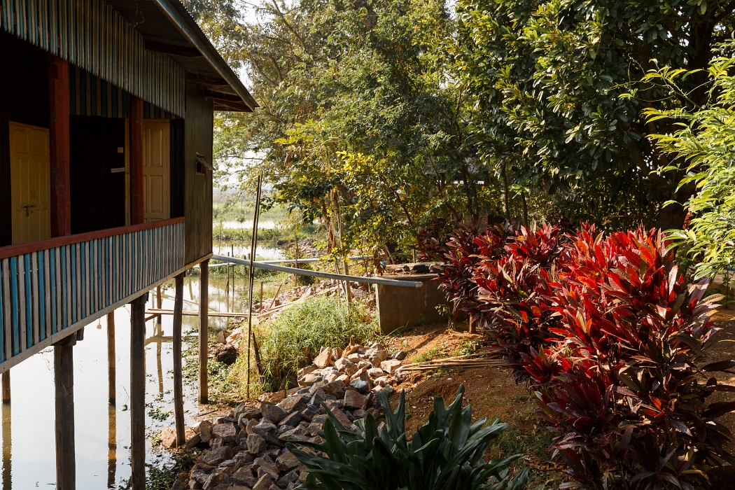13/02/2016-Lac Inlé(Myanmar)-Monastère Nga Hpe Chaung