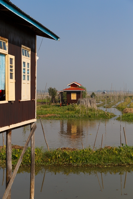 13/02/2016-Lac Inlé(Myanmar)-Monastère Nga Hpe Chaung