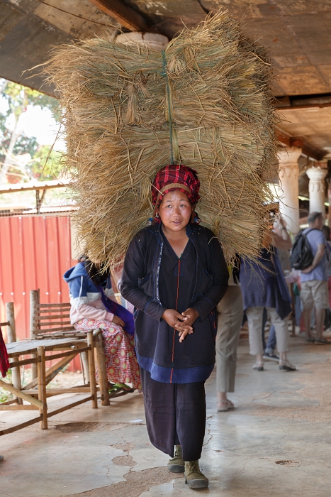 13/02/2016-Lac Inlé(Myanmar)-Pagode In Dhein