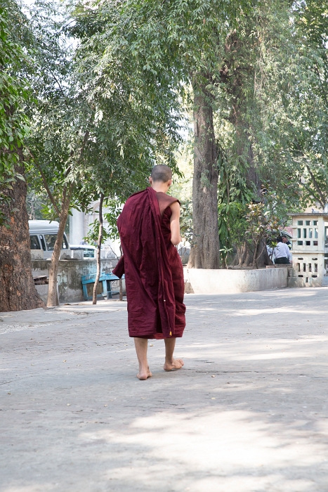 15/02/2016-Mandalay(Birmanie)-Monstère de Amarapura
