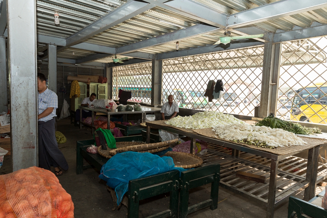 15/02/2016-Mandalay(Birmanie)-Monstère de Amarapura