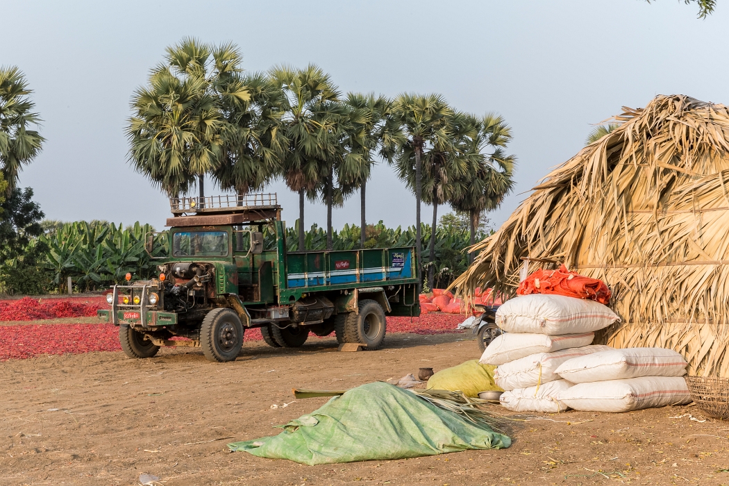 17/02/2016-Mandalay(Birmanie)-Sur la route de Bagan