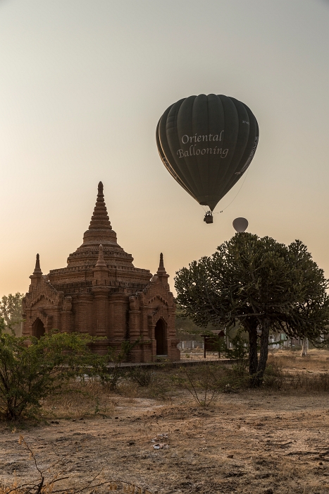 18/02/2016-Bagan(Birmanie)-Le matin