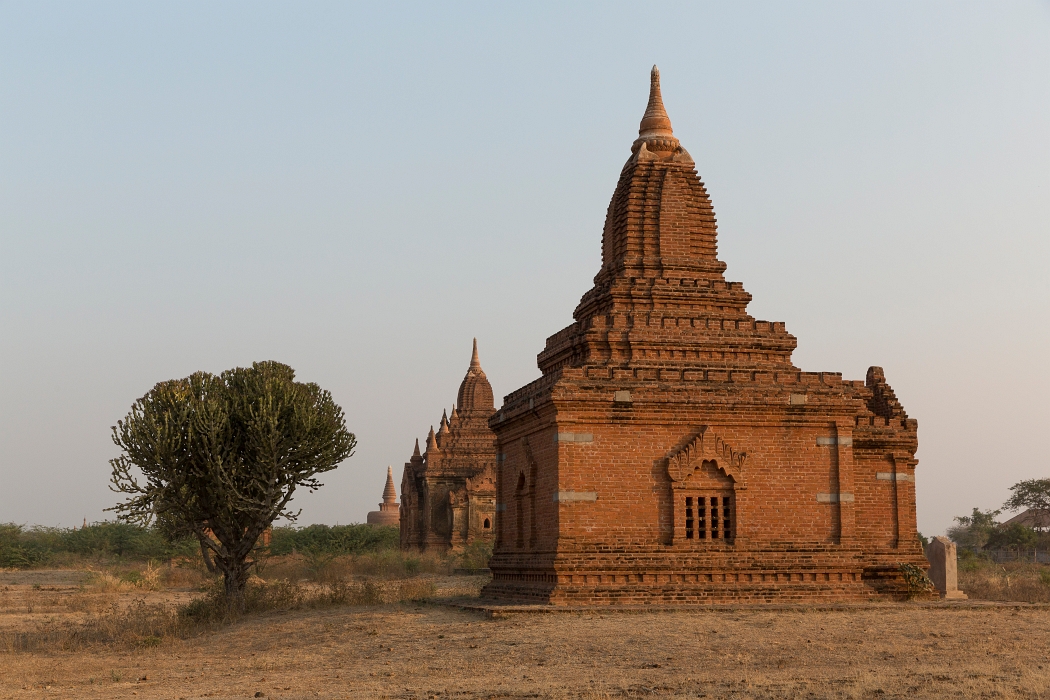 18/02/2016-Bagan(Birmanie)-Le matin