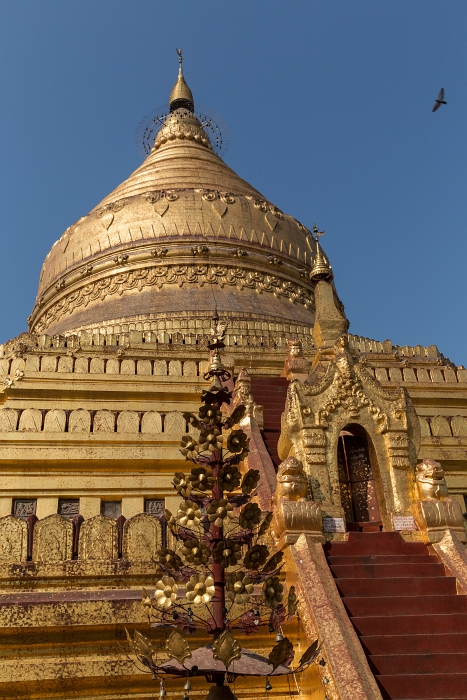 18/02/2016-Bagan(Birmanie)-Pagode dorée Shwe Zigon