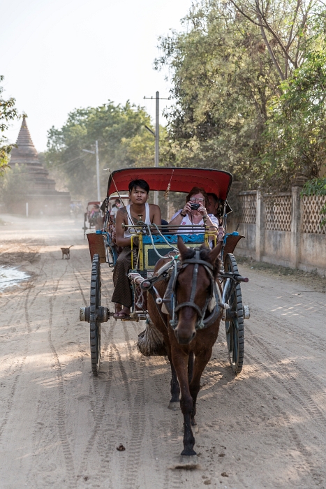 18/02/2016-Bagan(Birmanie)-Le site