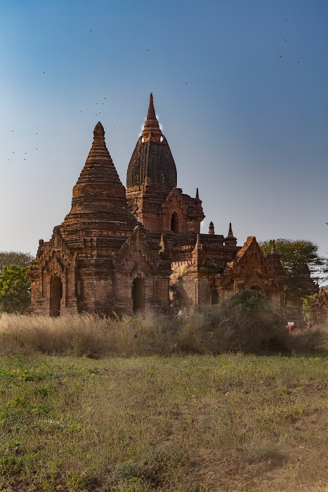 18/02/2016-Bagan(Birmanie)-Le site