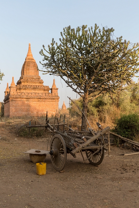 18/02/2016-Bagan(Birmanie)-Le site