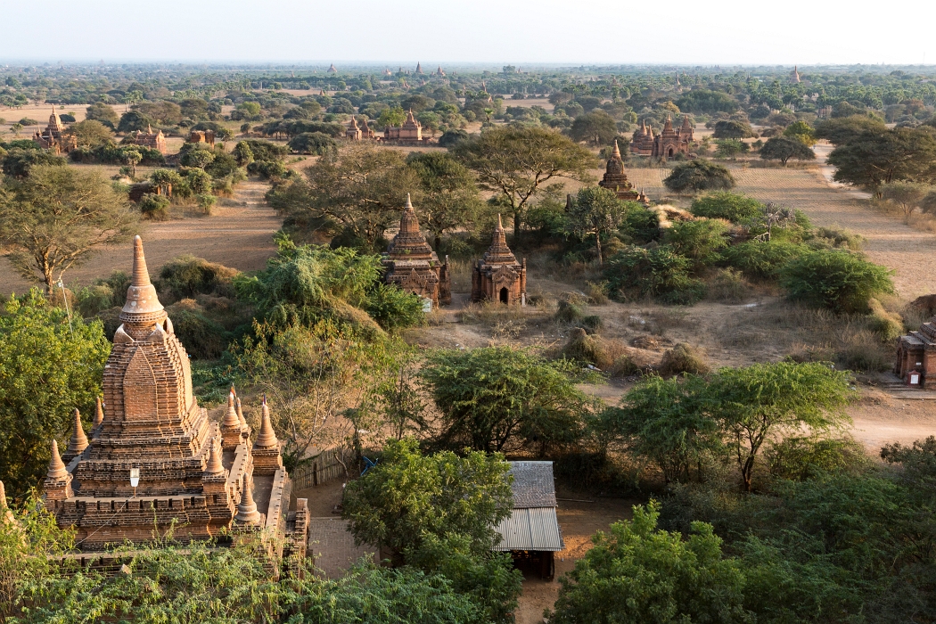18/02/2016-Bagan(Birmanie)-Le site