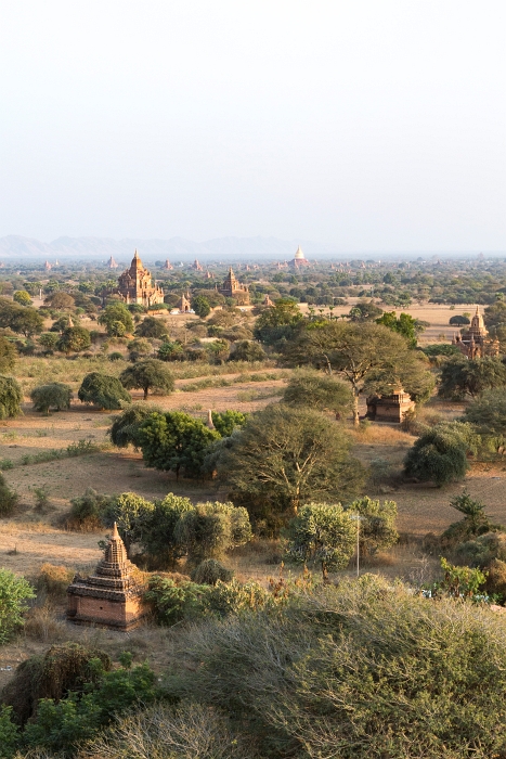 18/02/2016-Bagan(Birmanie)-Le site