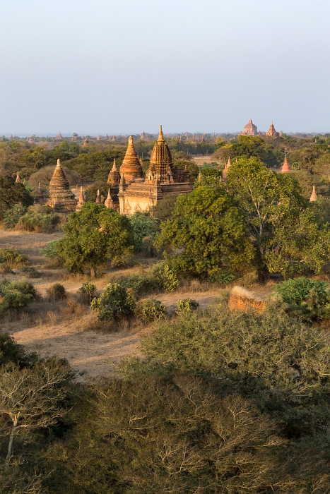 18/02/2016-Bagan(Birmanie)-Le site