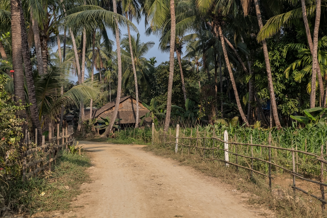 22/02/2016-Ngapaly(Birmanie)-Village de pêcheurs