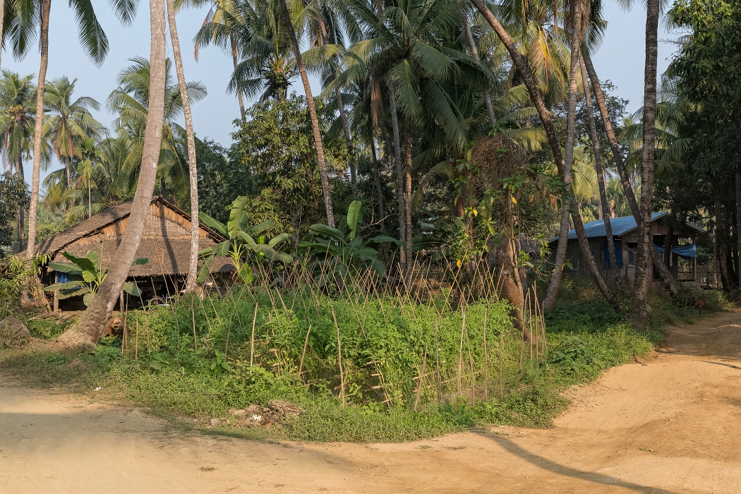22/02/2016-Ngapaly(Birmanie)-Village de pêcheurs