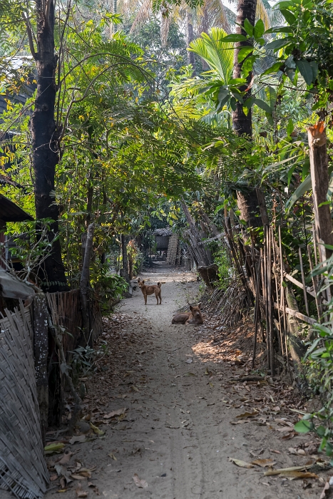 22/02/2016-Ngapaly(Birmanie)-Village de pêcheurs