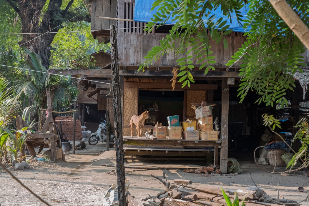 22/02/2016-Ngapaly(Birmanie)-Village de pêcheurs
