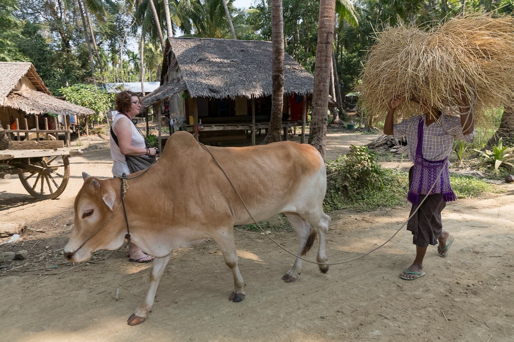 22/02/2016-Ngapaly(Birmanie)-Village de pêcheurs