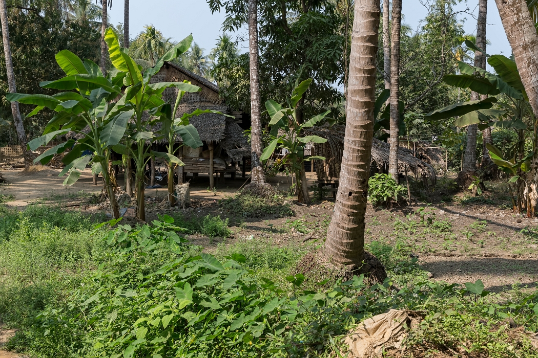22/02/2016-Ngapaly(Birmanie)-Village de pêcheurs