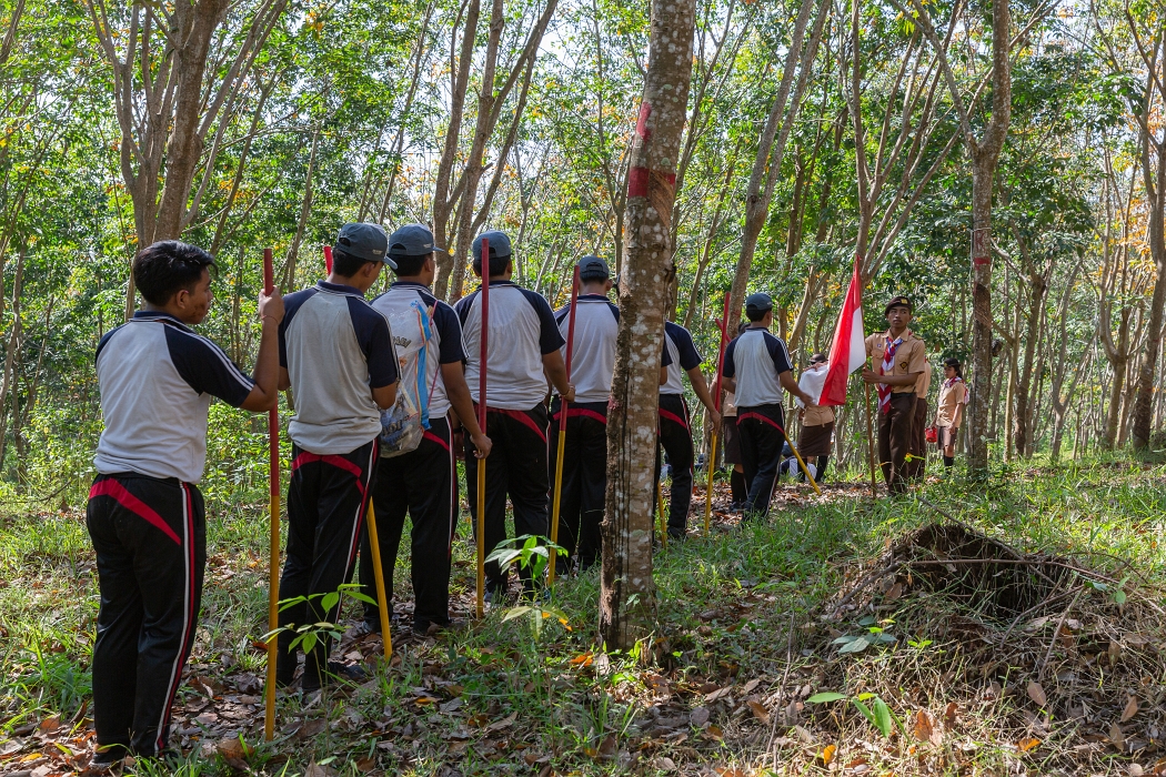 22/05/2018-Pekutatan(Bali)-Plantations