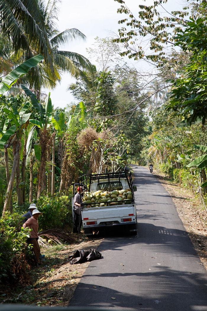 22/05/2018-Pekutatan(Bali)-Route forestière