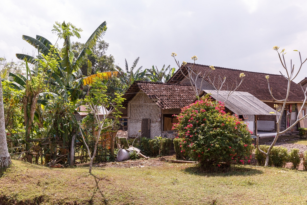 22/05/2018-Pekutatan(Bali)-Route forestière