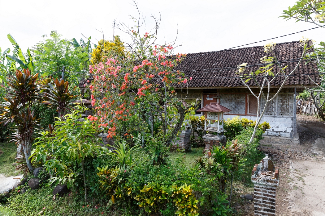 22/05/2018-Pekutatan(Bali)-Route forestière