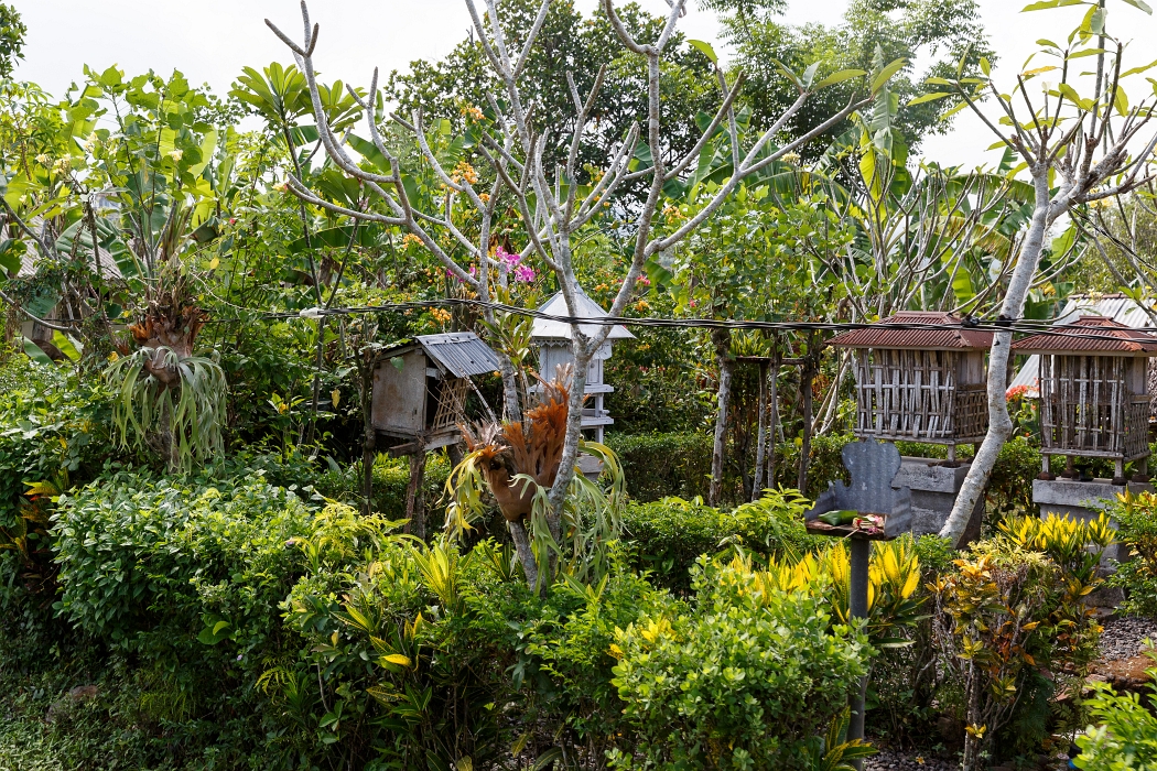 22/05/2018-Pekutatan(Bali)-Route forestière