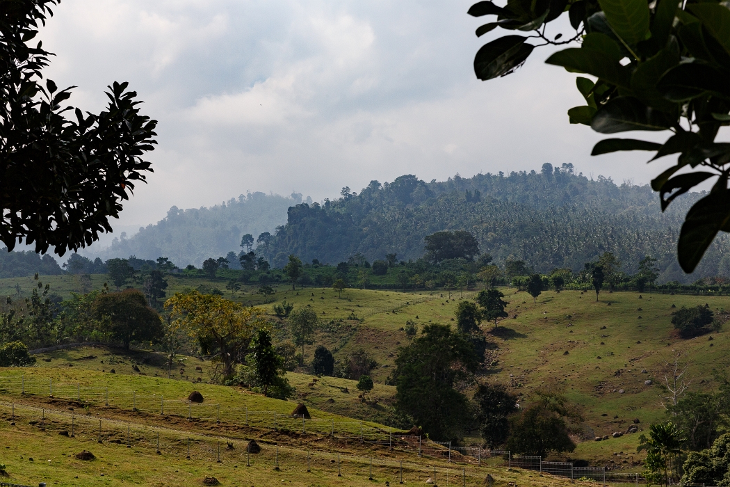 22/05/2018-Pekutatan(Bali)-Route forestière