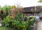 20180522-4021-p5 - 22/05/2018-Pekutatan(Bali)-Route forestière