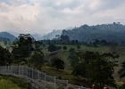 20180522-4023-p5 - 22/05/2018-Pekutatan(Bali)-Route forestière