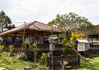 20180522-4028-p5 - 22/05/2018-Pekutatan(Bali)-Route forestière